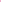 Belle - Fuschia