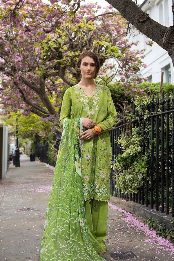Design 3A Sn Basics 2025 Unstitched
