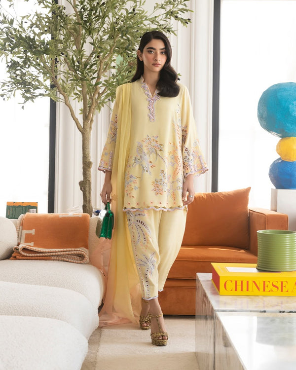 Stitched Embroidered Raw Silk Shirt + Shalwar (FW25SM021P2T)