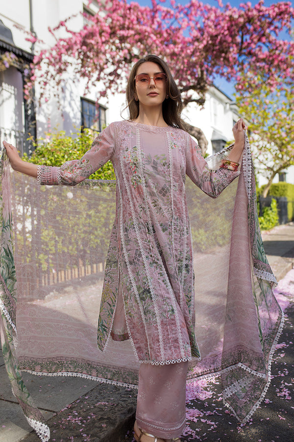 Design 5A Sn Basics 2025 Unstitched