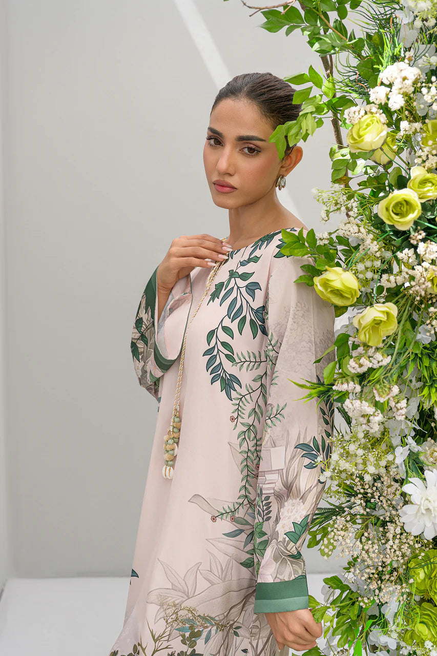 Ivy Shell – Nour