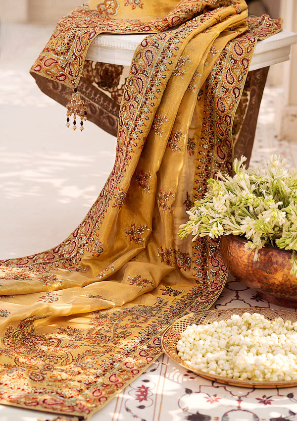 Wedding Festive'24 Vol. 2 - Indian Gold Tissue Shawl