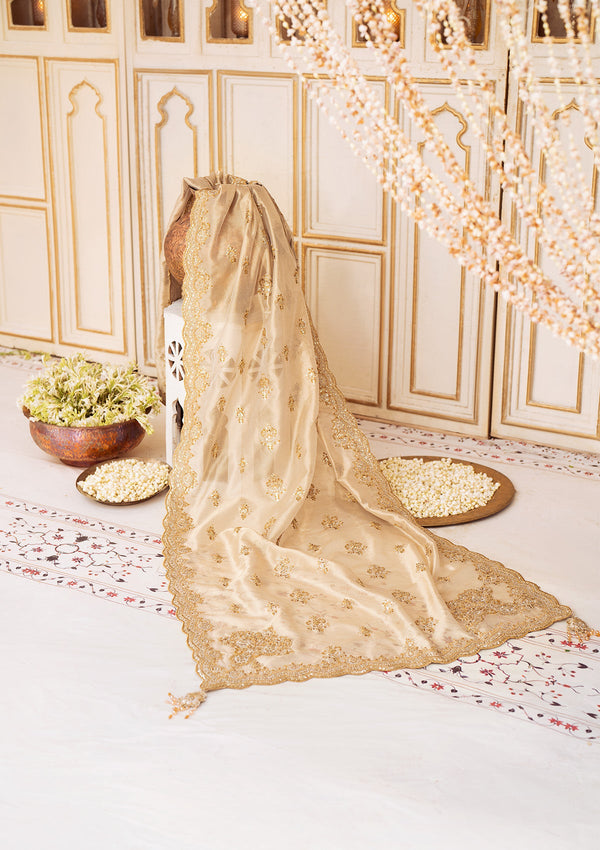 Wedding Festive'24 Vol. 2 - Light Gold Tissue Shawl