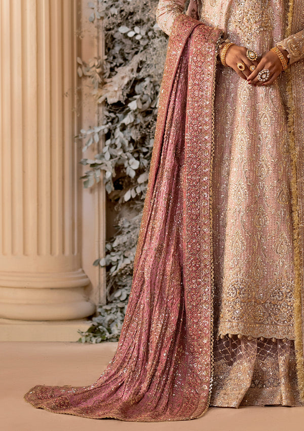 Wedding Festive'25 Vol. 1 - Pink Medium Silk Shawl