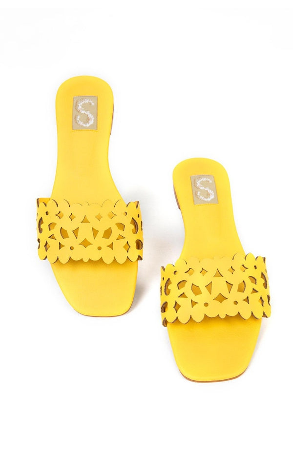 SS23SH-FS-255 (SS23SH-FS-255)