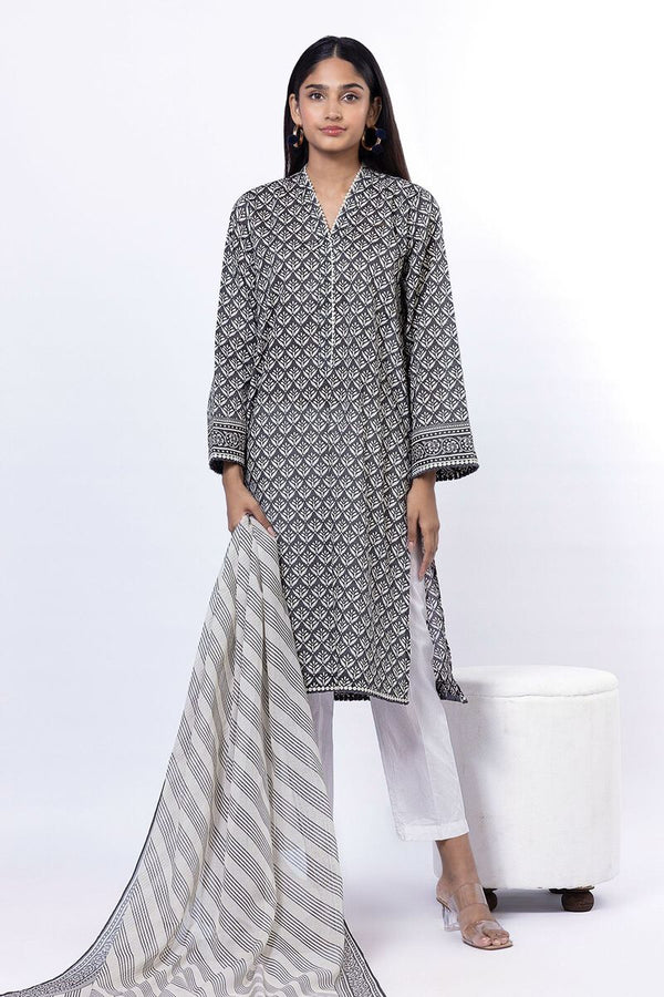 Fabrics 2 Piece | Top and Dupatta | SSZ2158A